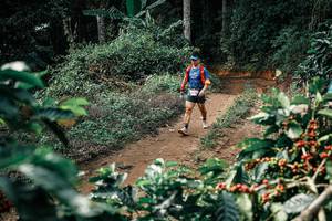 BIB: 
                            <button type="button" onclick="openModal(25857819)" class="btn btn-primary btn-sm float-right btn-popup" data-toggle="modal" data-target=".modal-high-quality">
                        <i class="fas fa-shopping-cart"></i> Add to Cart
                    </button>
                                            <button type="button" onclick="isThisMe(25857819, true)" class="btn btn-success btn-sm float-right btn-popup btn-isme hidden" data-toggle="tooltip" data-placement="bottom" title="นี่คือรูปของคุณใช่ไหม คลิกที่นี่เพื่อเอาเข้าอัลบั้ม">
                        <i class="fas fa-plus"></i> Add to album
                    </button>
                    <button type="button" onclick="isThisMe(25857819, false)" class="btn btn-warning btn-sm float-right btn-popup btn-isnotme hidden">
                        <i class="fas fa-ban"></i> Remove from album
                    </button>